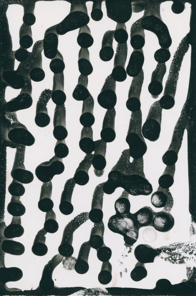 Chemigram - alternative process print